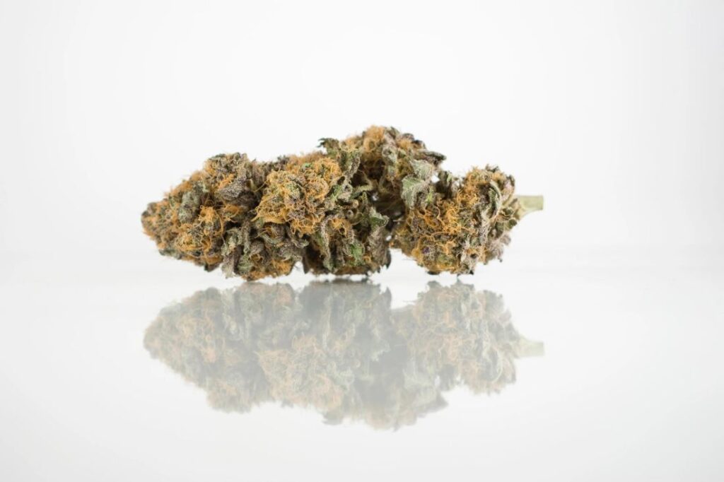 Unlocking THC's Secrets: Kingkind's Royal Guidance