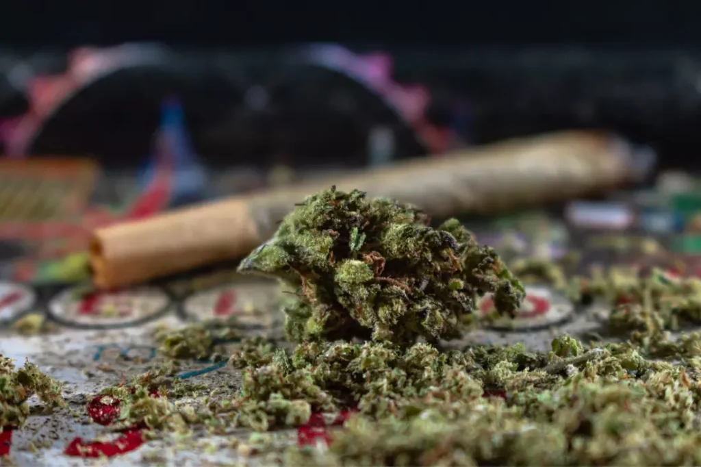 The Multifaceted Effects of THC in the Cannabis World