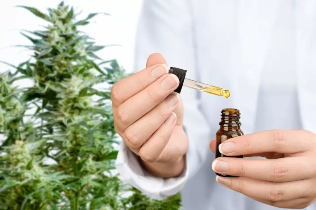 Discover THC Bliss with Kingkind: Unveiling a World of Cannabis Delights