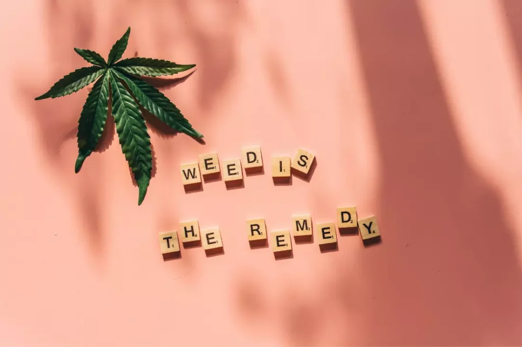 Strategies for Building Successful Cannabis Products in a Competitive Market
