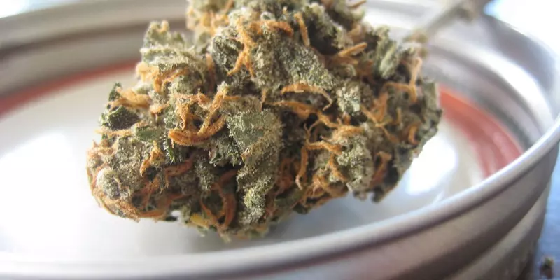 Understanding How To Decarb Hemp Flower