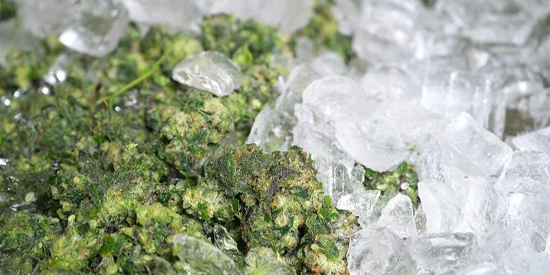 Which Cannabis Preparation Involves Flash Freezing: Preserving Freshness And Potency