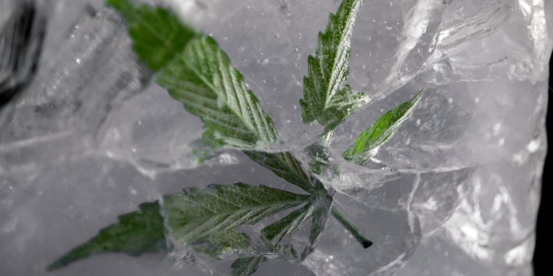Benefits And Uses Of Flash Freezing