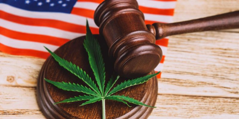 What States Is Marijuana Legal