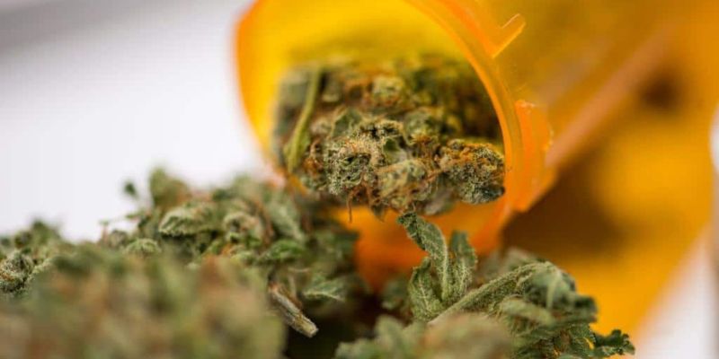 What Is The Breakdown (Metabolism) Of THC?