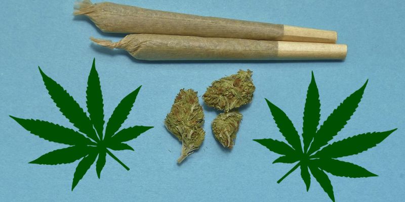 Is Marijuana The Same Thing As Cannabis