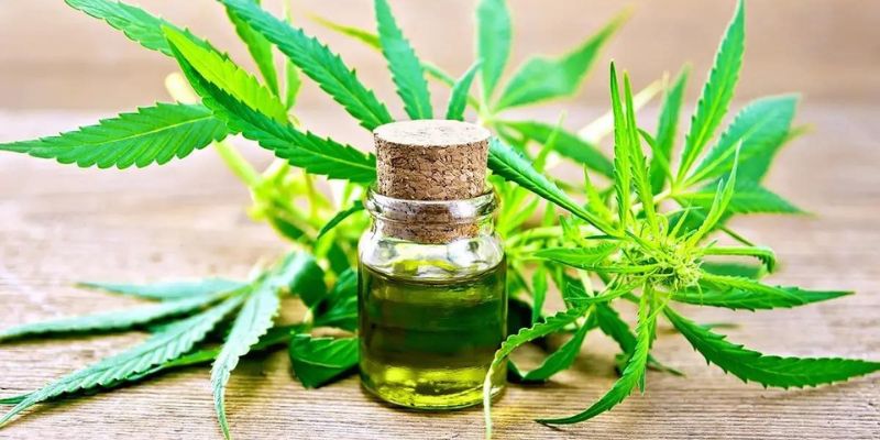 How Long Does THC Stay In The System?