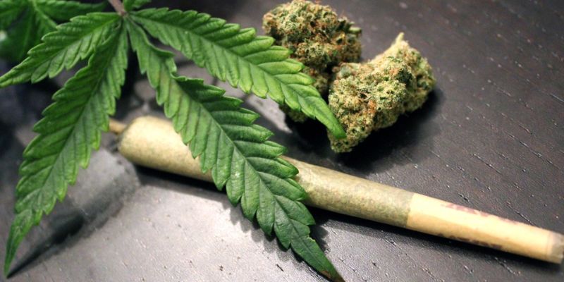 How Weed Effects Your Mind And Body