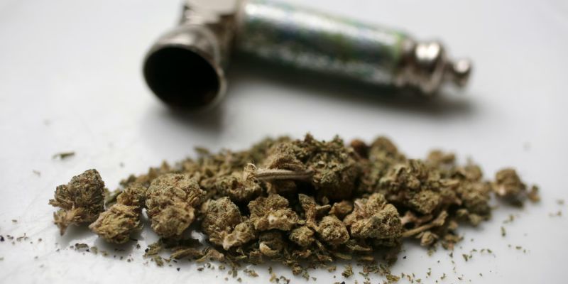 Is Marijuana The Same Thing As Cannabis