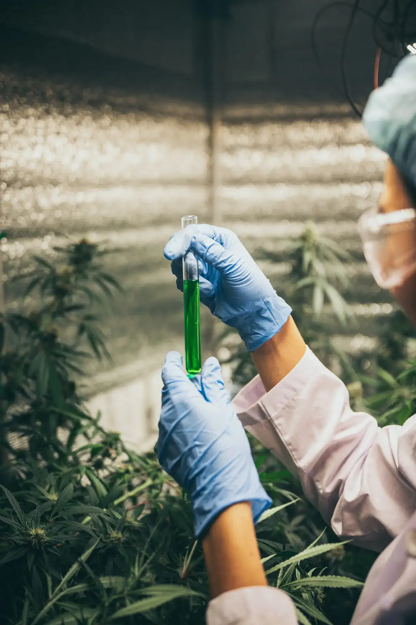 CBD