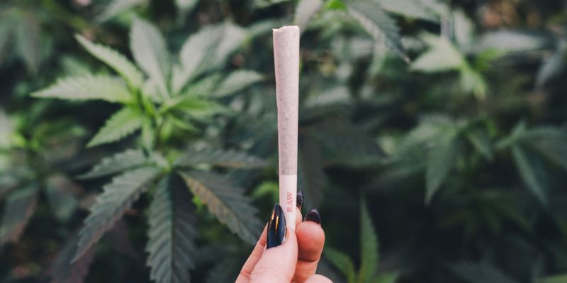 4. Pre-rolled joint signs of failure