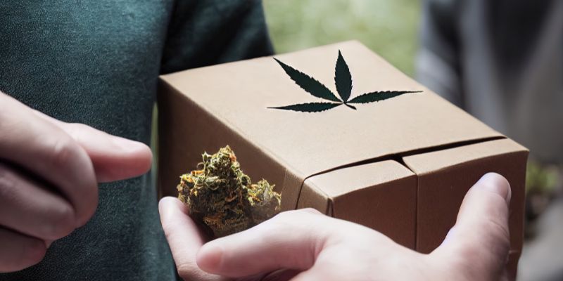 Best Cannabis Gifts To Give This Holiday Season