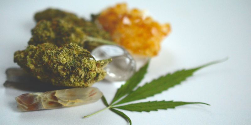 Why High THC Is Not Just About the Number