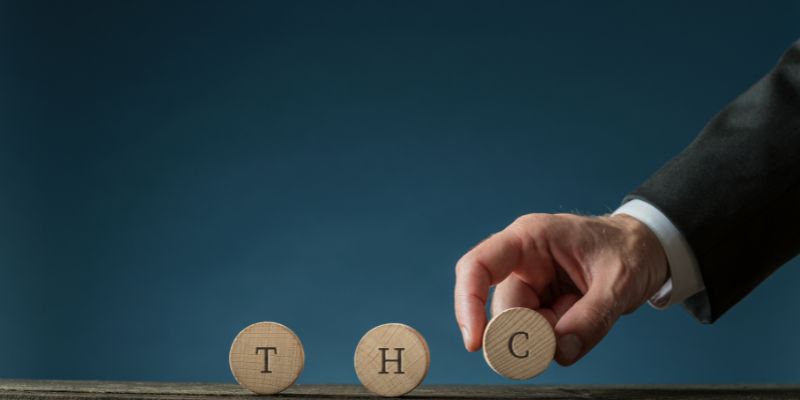 What Is Considered High THC in Cannabis? A 2026 Guide for San Diego Users