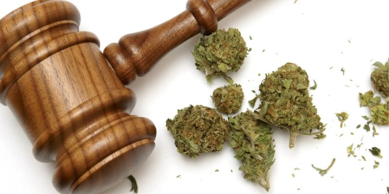 What Are the Cannabis Possession Laws in California?