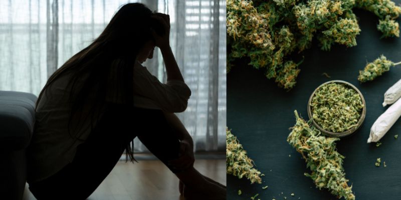 2026: How Cannabis Became the Ultimate Wellness Tool