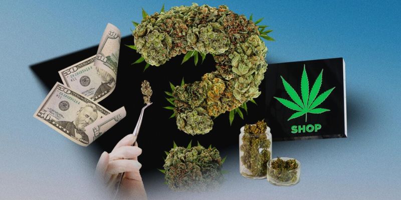 First Time Buying Legal Weed in San Diego? A Visitor's Guide