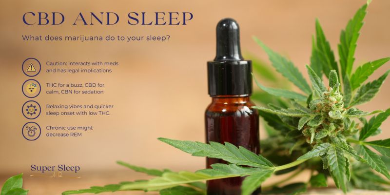 The Impact of Cannabis on Sleep: How It Helps with Insomnia
